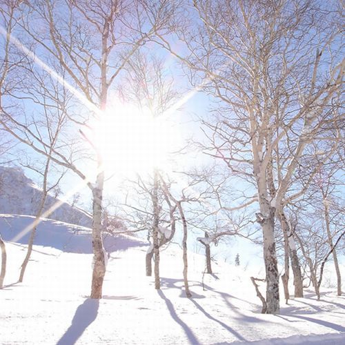 旭川旭岳温泉　湯元　湧駒荘 - 写真 246