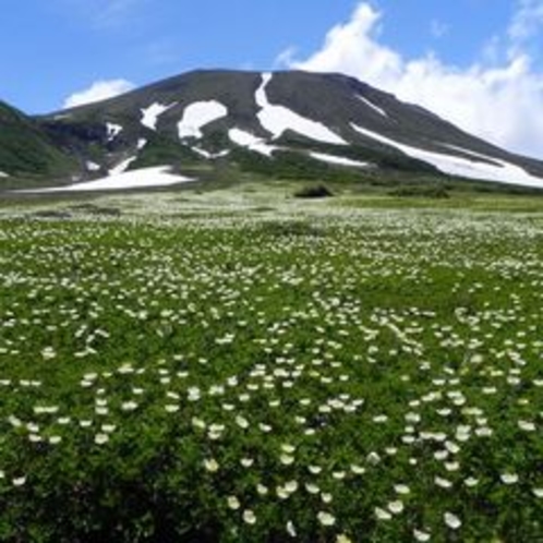 残雪と旭岳