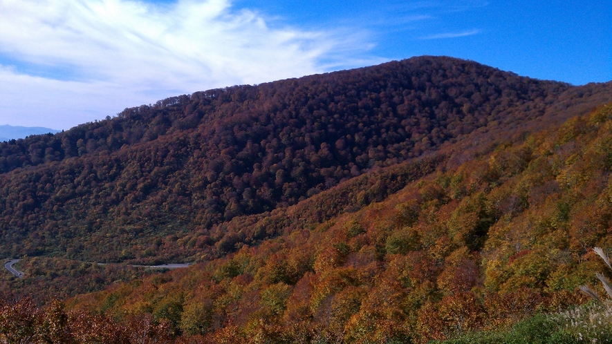 *「秋の鍋倉山」/県内有数の紅葉スポットである鍋倉山！真っ赤に燃ゆる紅葉は圧巻です！