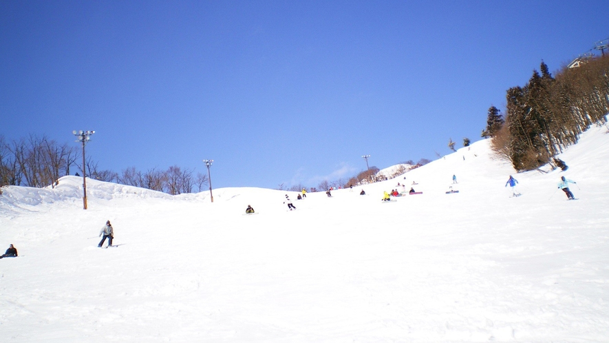 *戸狩温泉スキー場まで無料送迎OK！ウィンタースポーツをたっぷりお楽しみ下さい♪