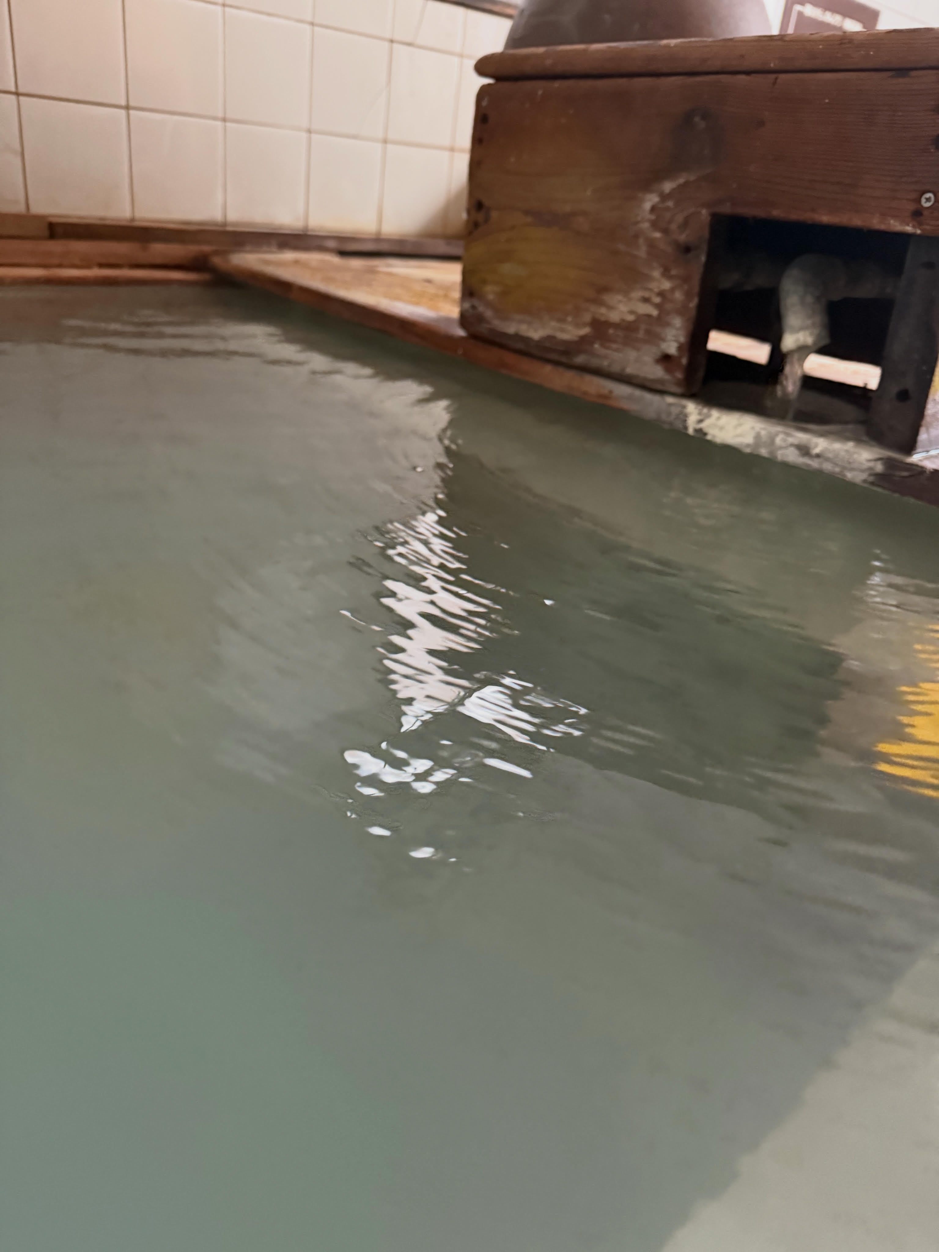 【ペットと一緒】にごり湯温泉貸切　夕食付プラン　　早朝出発OK