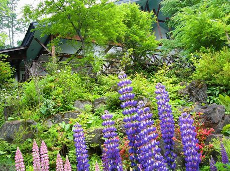 Spring garden