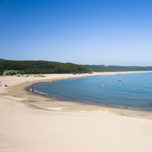 ≪種差海岸≫（tanesashi shore)