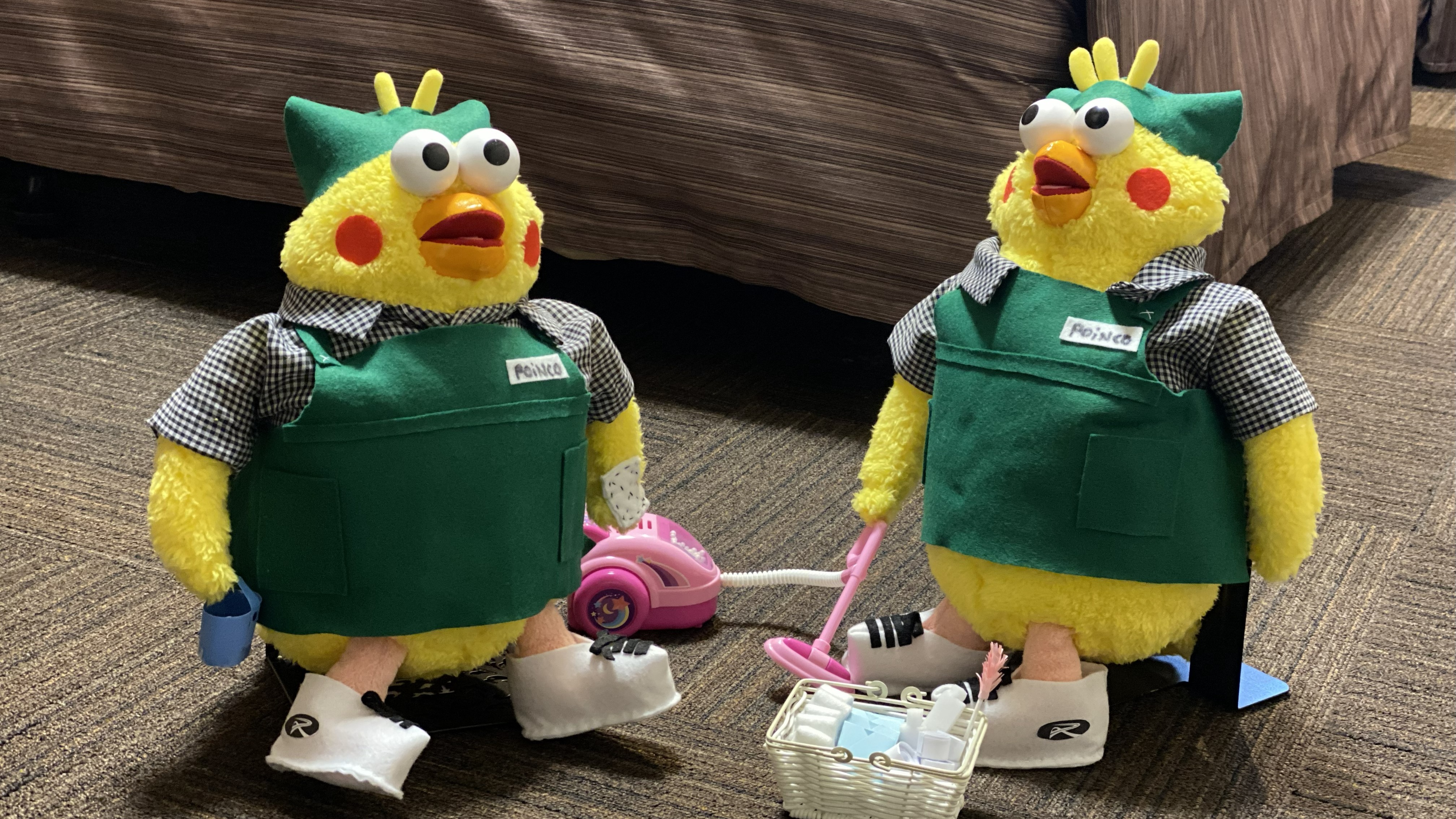 清掃中のポインコ