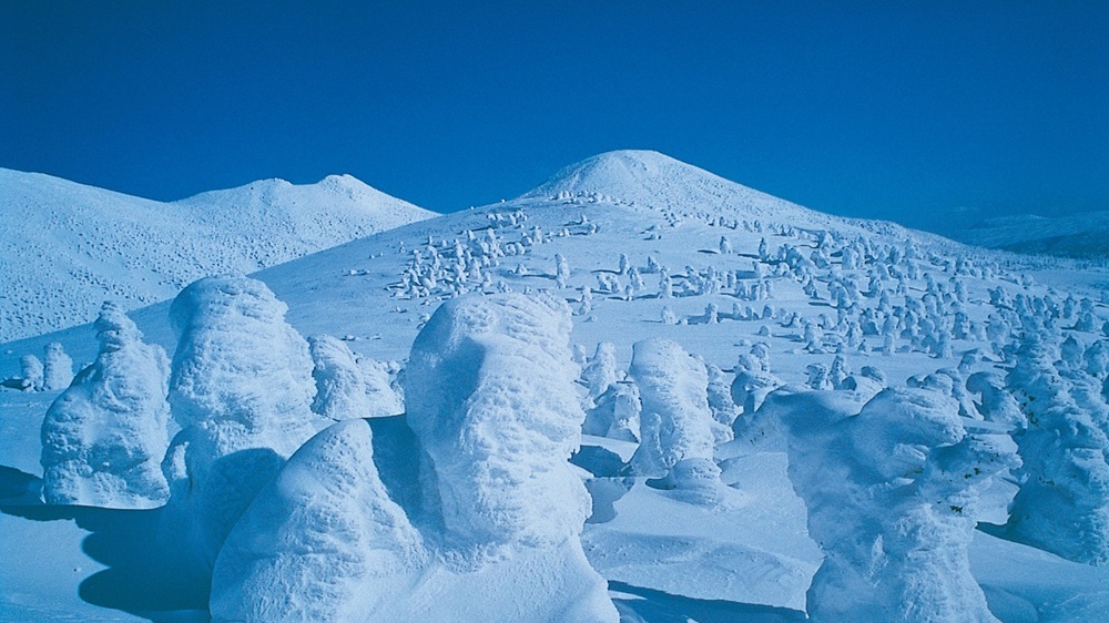 【冬の八甲田】美しく見事な樹氷となって目を楽しませてくれる　　画像提供：一般社団法人東北観光推進機構