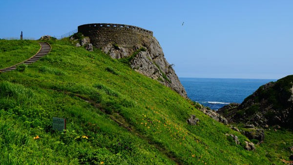 【葦毛崎展望台】太平洋を一望する絶景スポット｜うみねこと潮風が出迎える八戸の岬