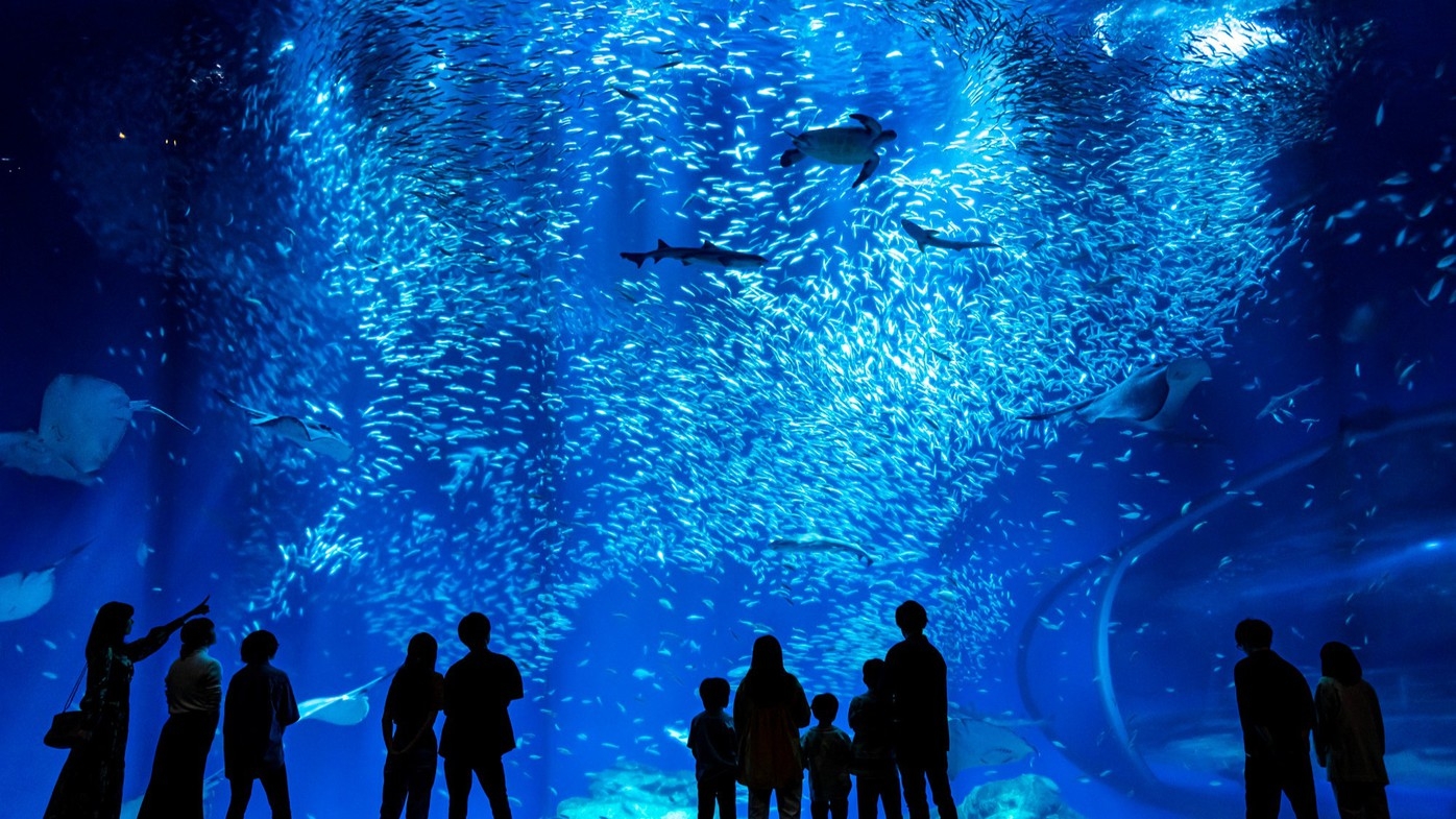 【家族で夏満喫】アクアワールド茨城県大洗水族館入館チケット付き 朝食付きプラン