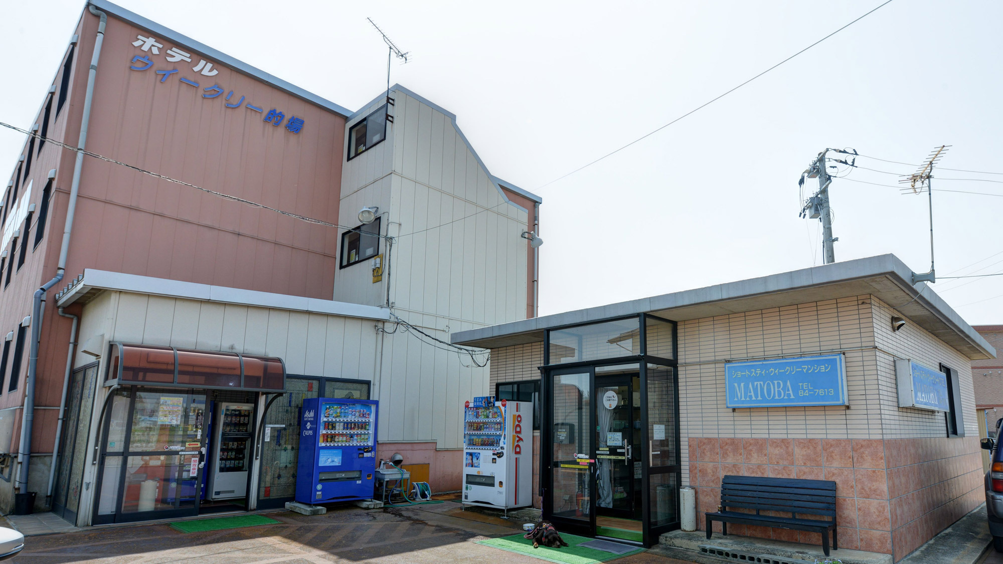 長井の人気のビジネスホテルランキング【楽天トラベル】