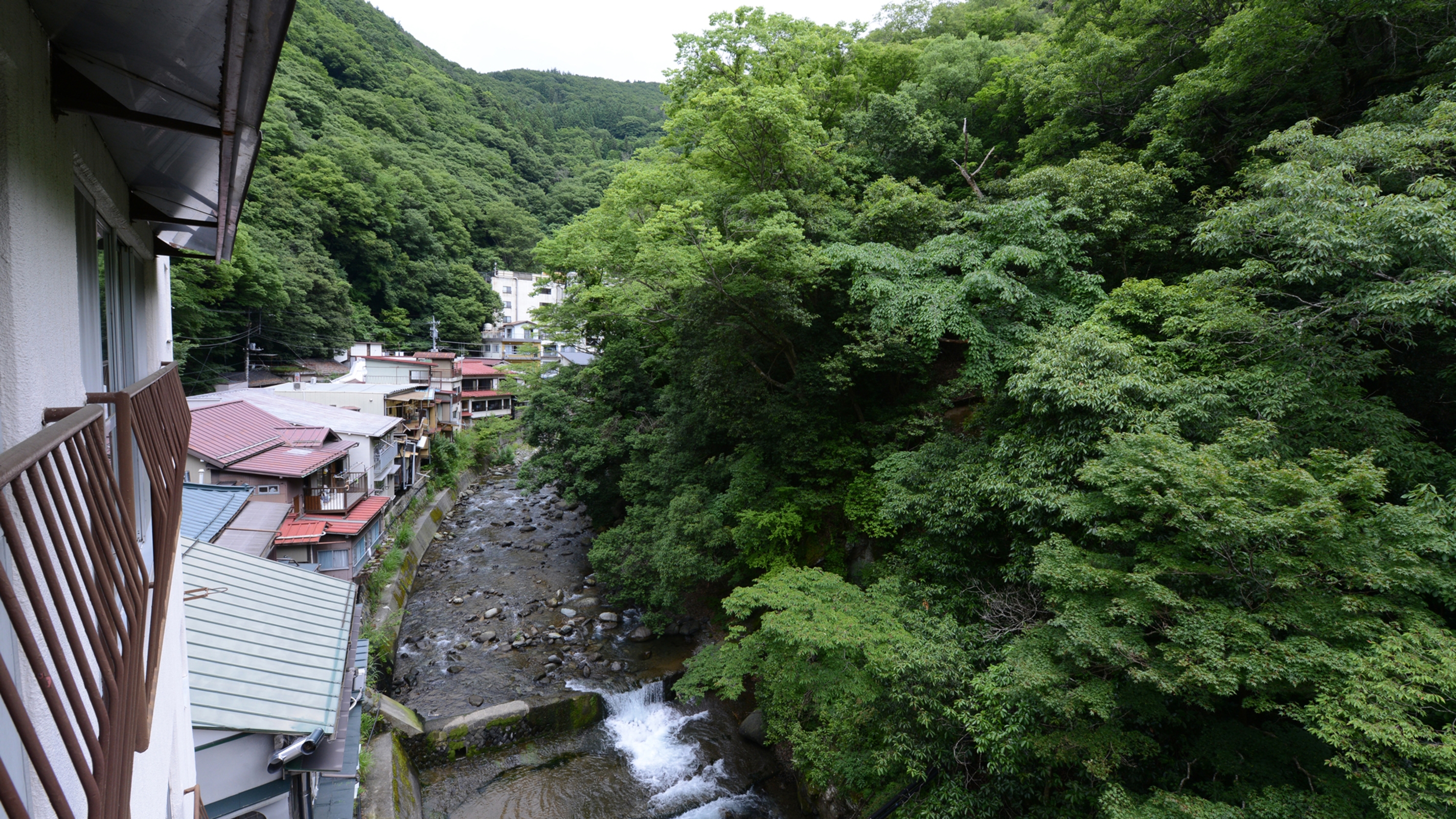 下部温泉 ペットと泊まれる温泉宿 元湯 甲陽館 設備・アメニティ・基本情報