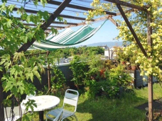 夏の屋上・Summer roof garden