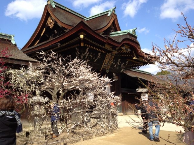 KItano Tenmanngu / 北野天満宮