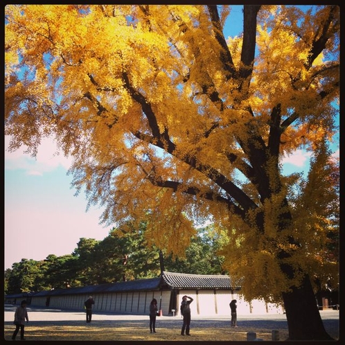 京都御所