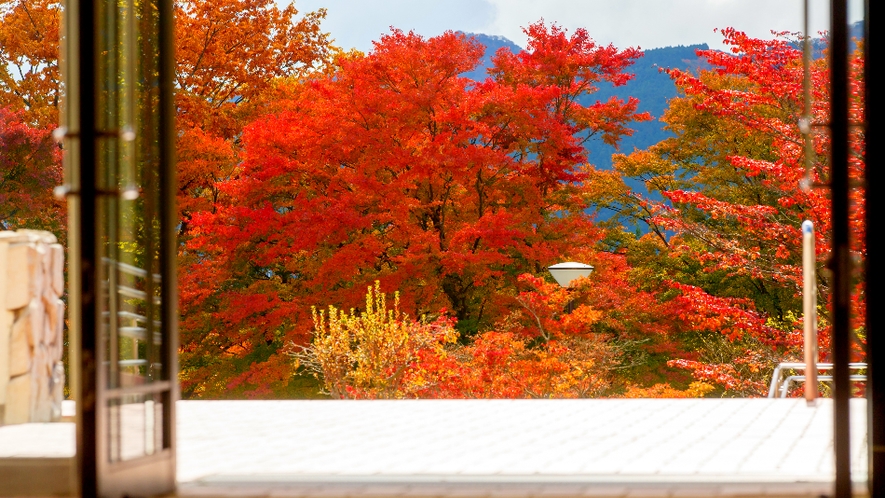 紅葉の見ごろは11月上旬～中旬です