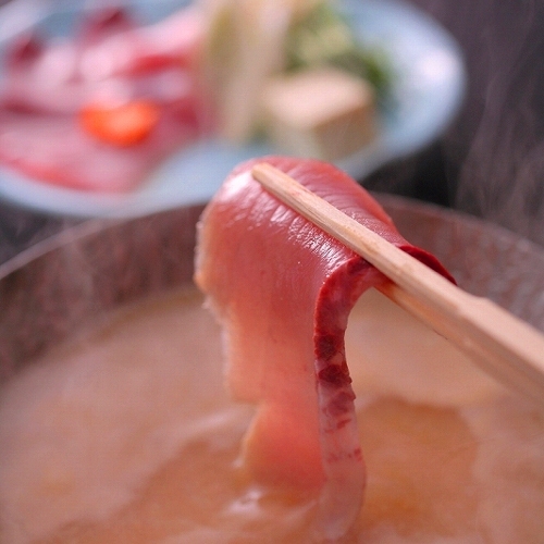 氷見温泉郷 魚巡りの宿 永芳閣 ｂｂｈホテルグループ 格安予約 宿泊プラン料金比較 トラベルコ