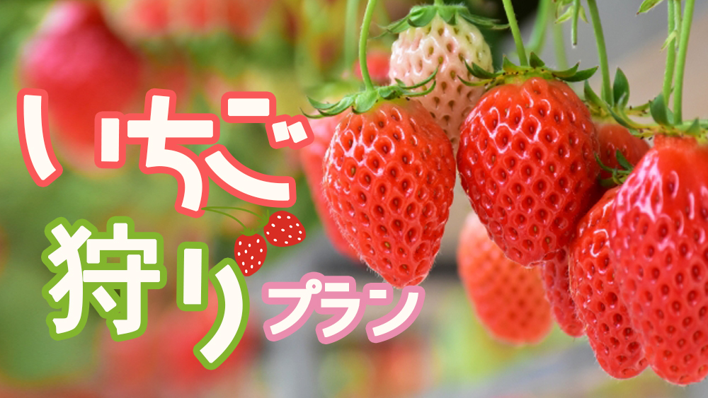 いちご狩り