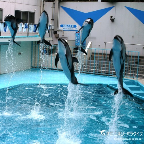 【学生専用プラン】絶景温泉と和食会席で最高の卒業旅行に◇選べる観光地チケットなど6大特典付♪1泊2食