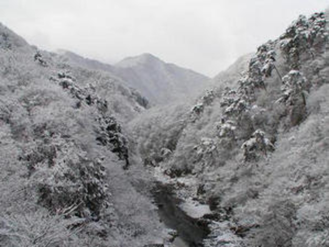 雪景色