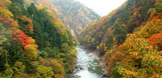 老神温泉渓谷の紅葉