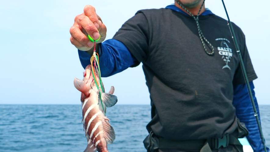 【#船釣り】釣り好きの若旦那自ら釣り上げる魚をご提供！獲れたてピチピチ鮮度が違います！