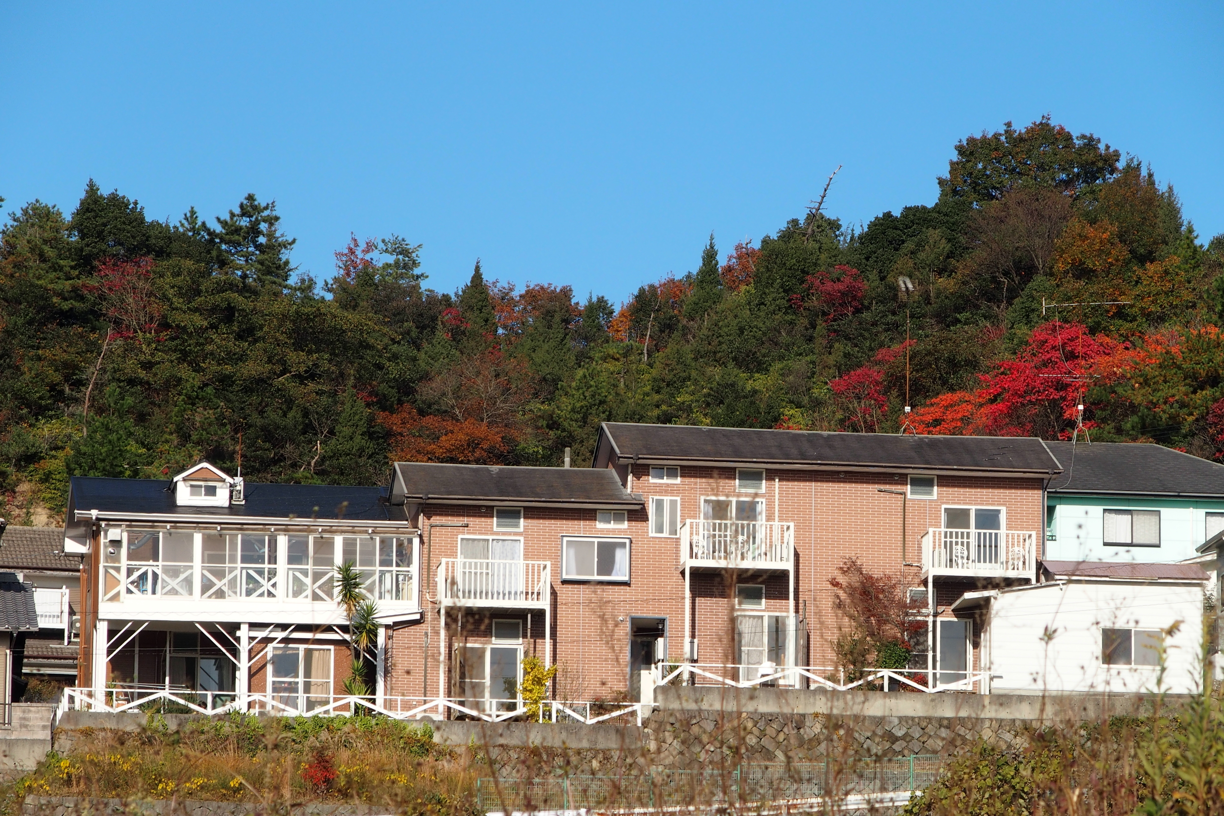 紅葉に包まれて