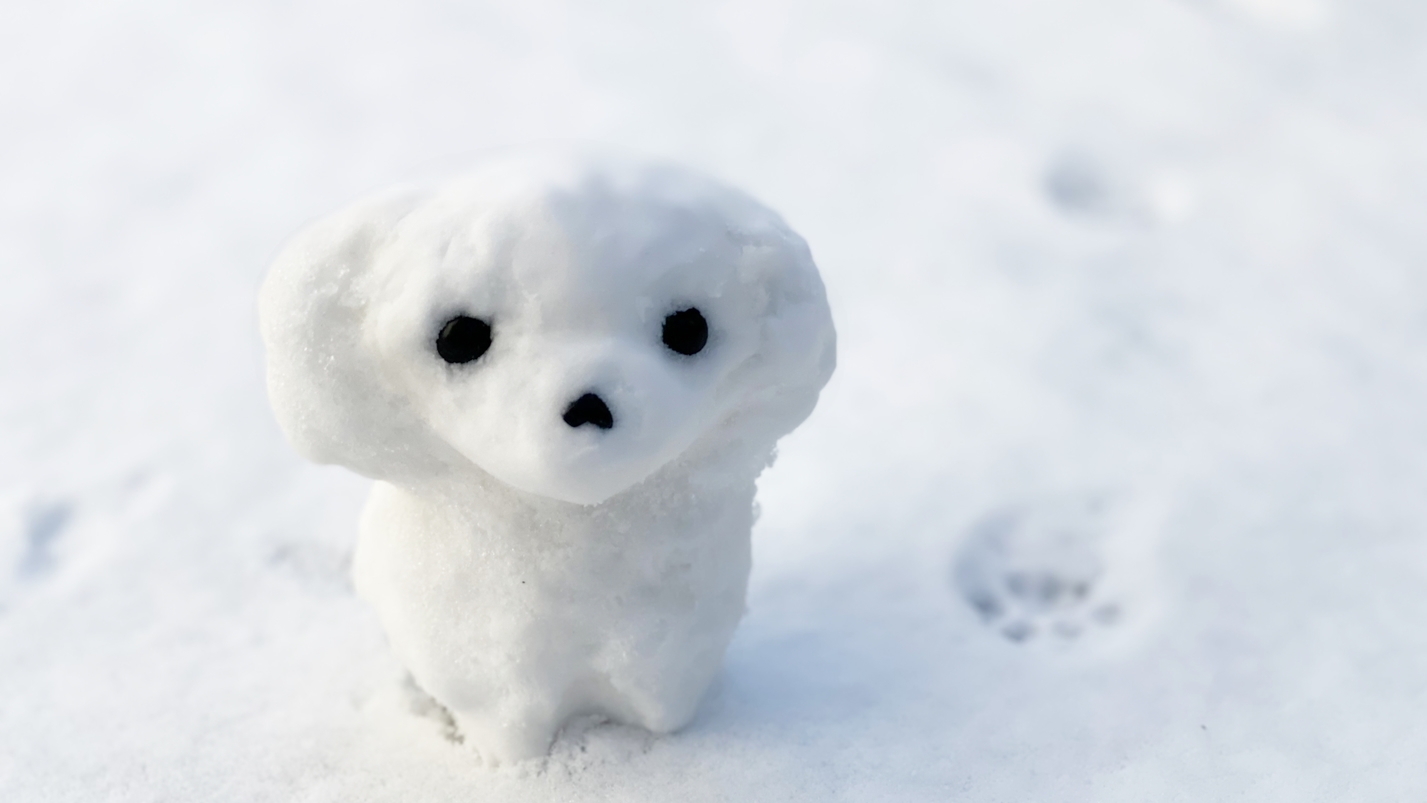 【冬旅SALE】愛犬と一緒∪・ω・∪！この冬はお部屋でゆっくり満喫＜■特選会席／部屋食＞