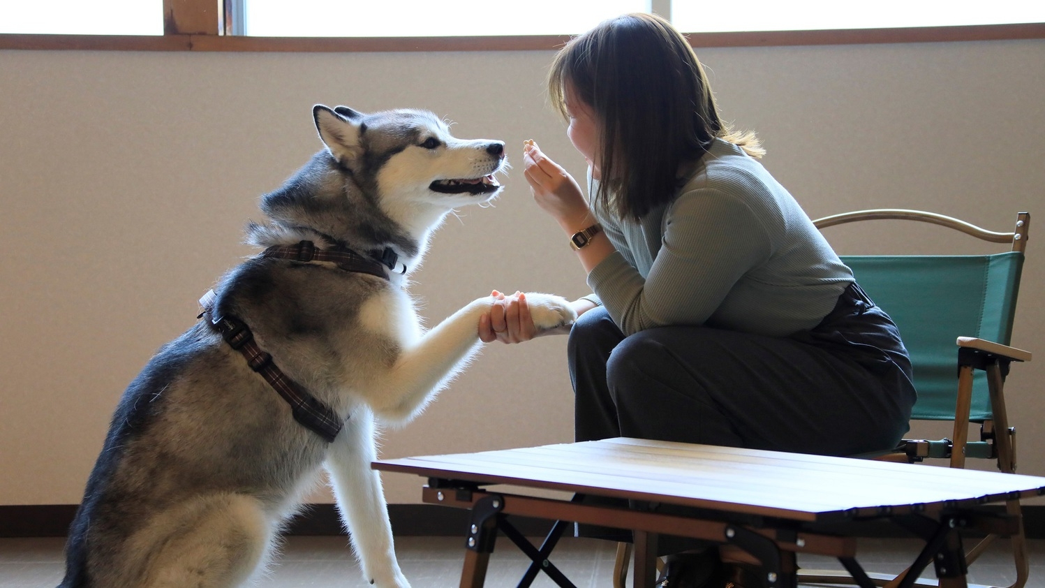【20％OFF】【楽天スーパーSALE】愛犬と一緒∪・ω・∪ご夕食はお部屋で♪＜■特選会席／部屋食＞