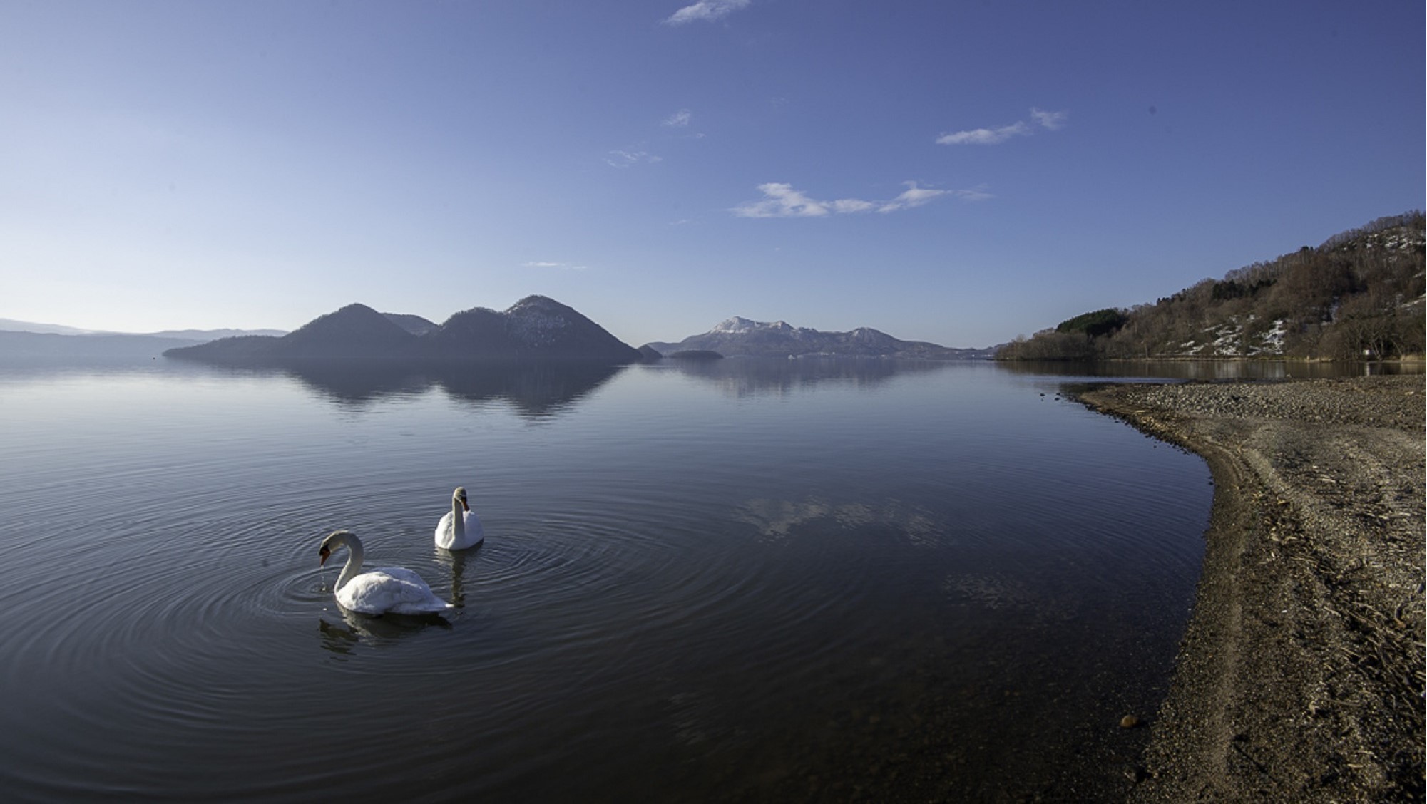 【GW×早割】早めの予約でお得！GWは会席料理と温泉を満喫＜■特選会席／会場食＞