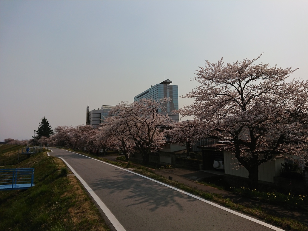 【４月限定　さくらステイ】ホテル最上階にてさくら御膳と地酒を楽しむお花見プラン（１泊２食付）