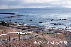 【1泊2食】伊豆の海で海水浴♪白浜の青い海・白い砂浜で遊ぶ夏♪プラン