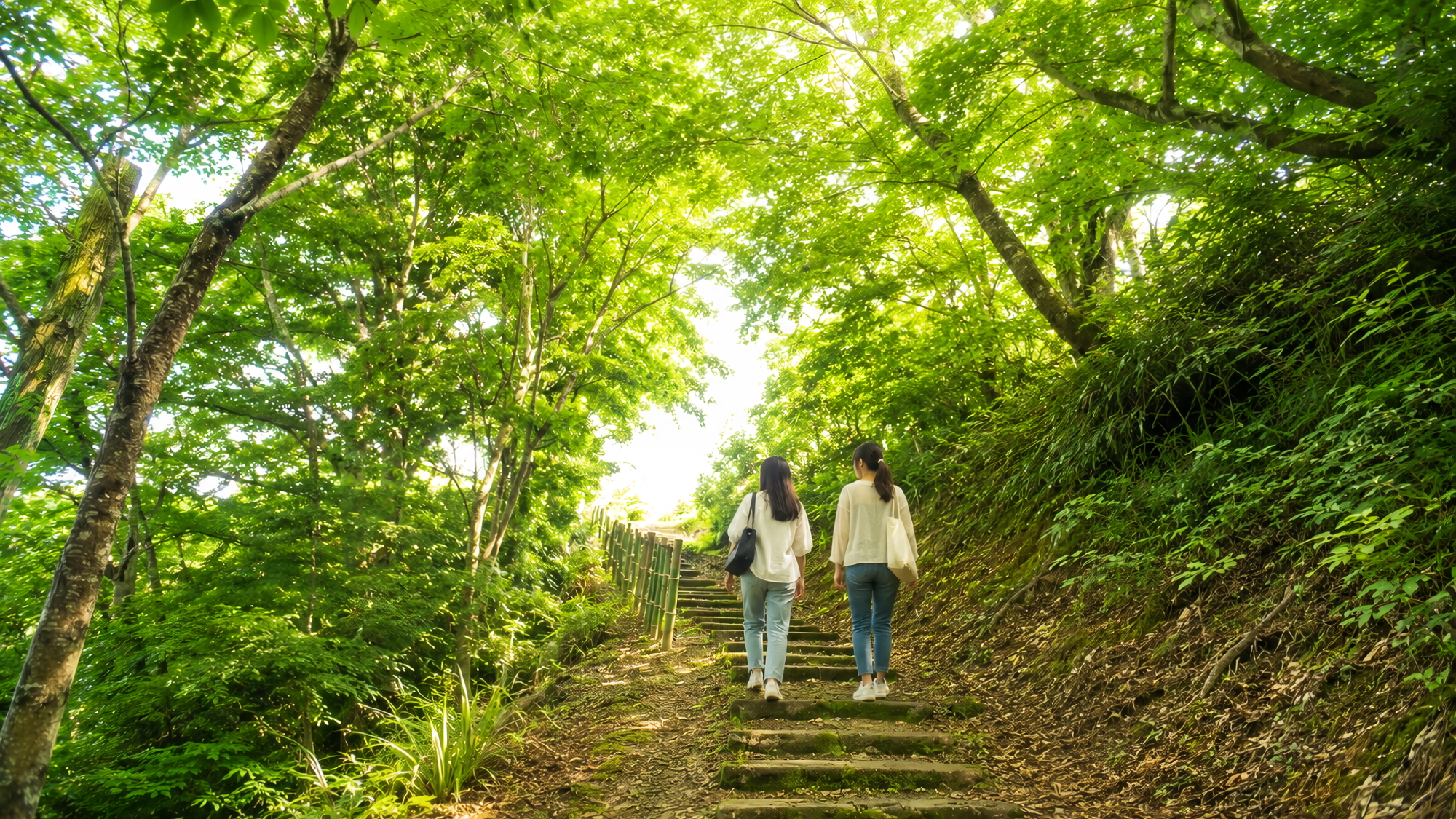 施設周辺｜庭園散策