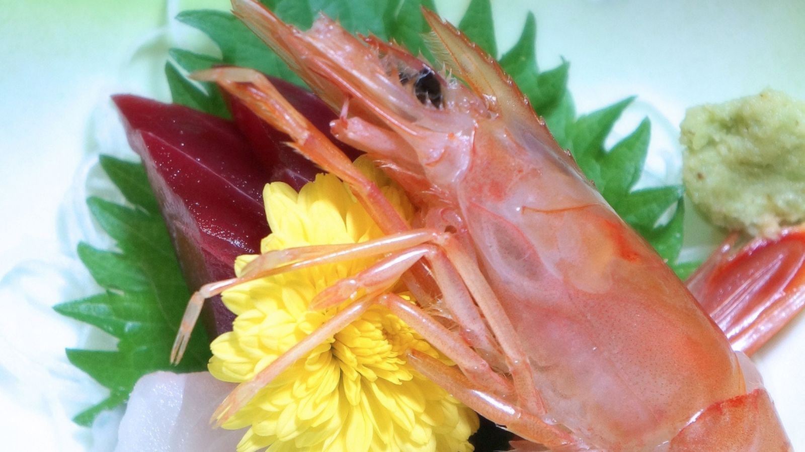 星の膳　メニューの一例