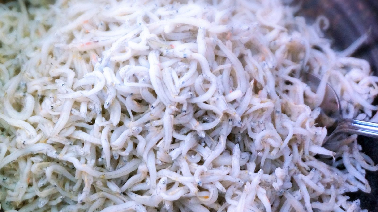 朝食バイキング　メニューの一例