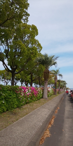 鹿児島空港