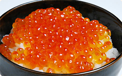 아침 식사로 이쿠라 걸릴 무제한♪