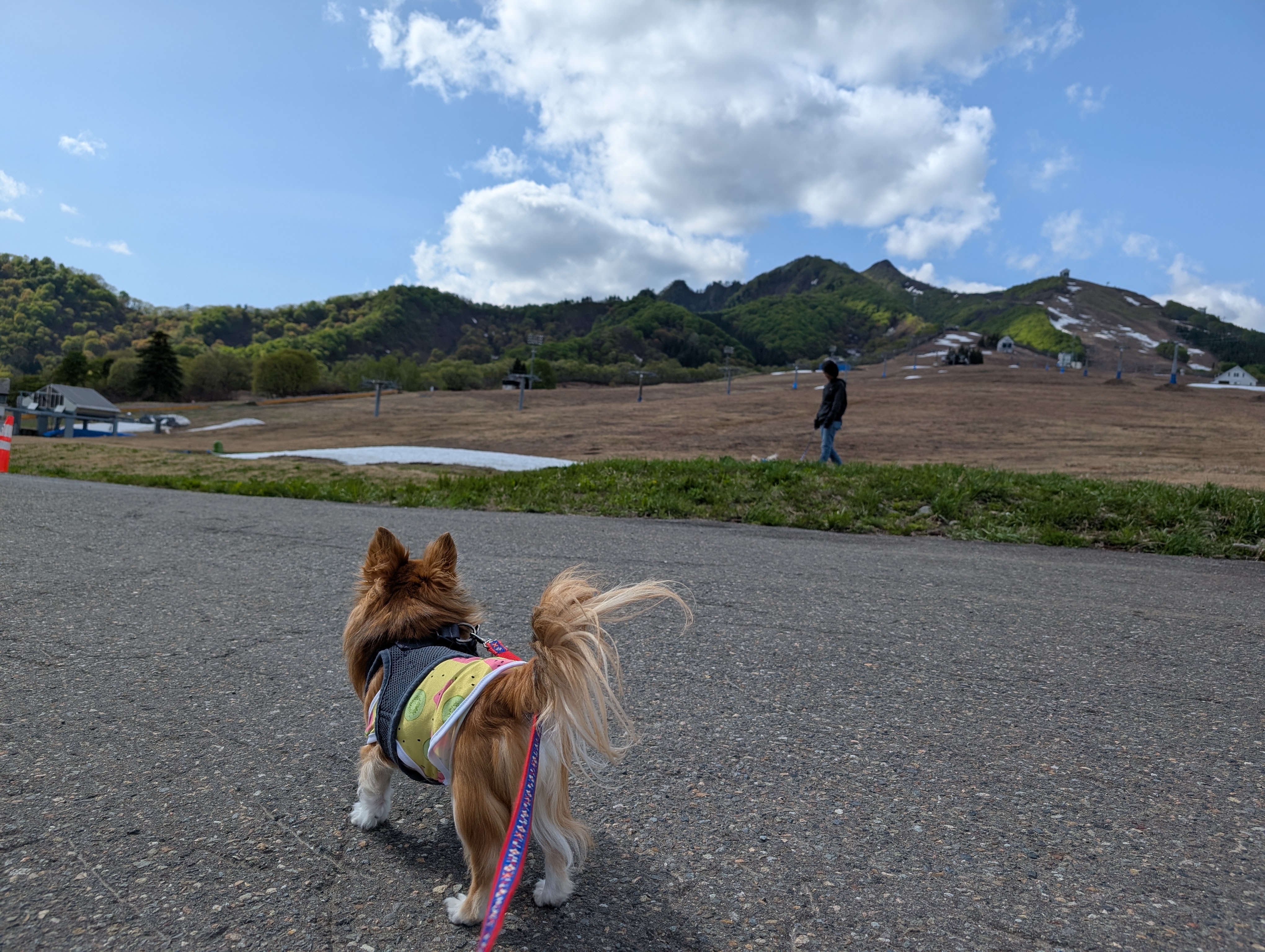 高原でお散歩
