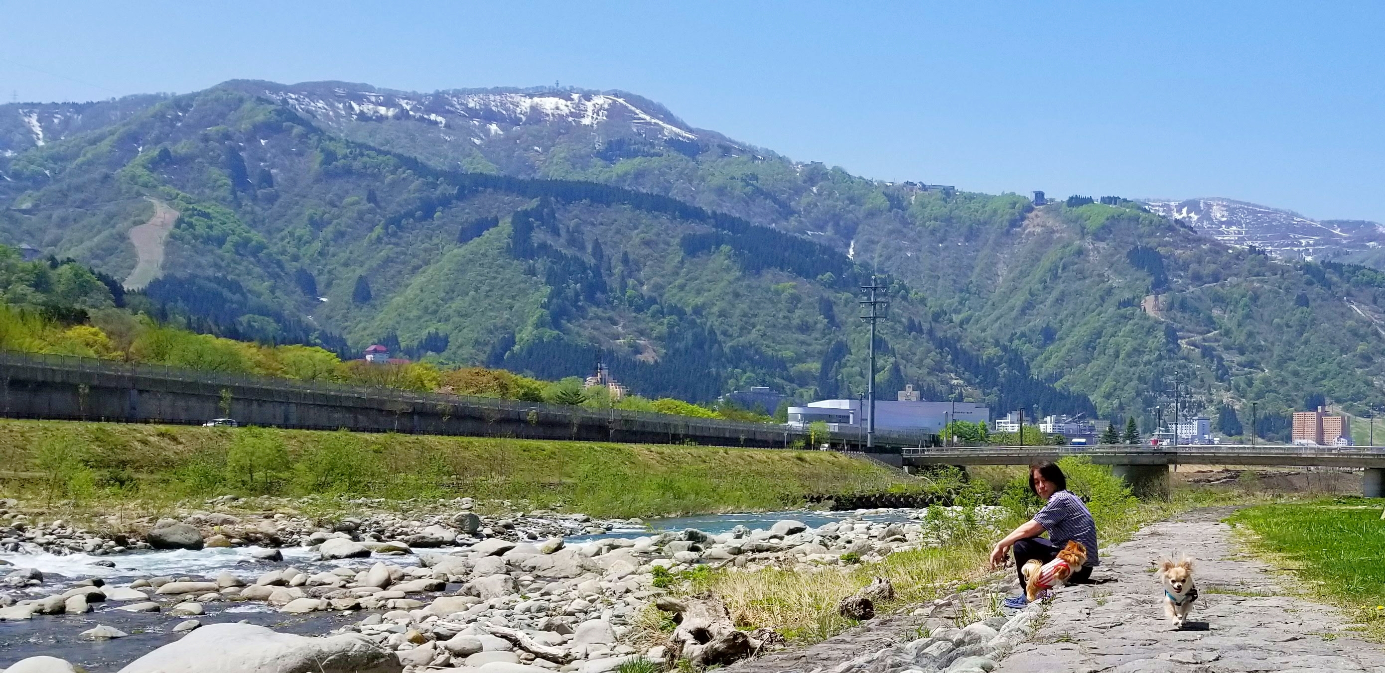 川沿いの公園でのんびりお散歩