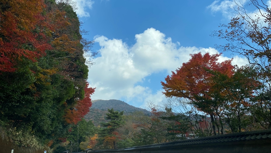*【周辺情報】雲仙ビードロ美術館　道中。秋は紅葉と青空のコントラストが美しいですよ。
