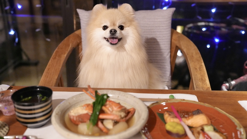 【スタンダード１泊２食】貸し切り温泉にペットスパ♪四季を感じる森のリゾートで愛犬と和食の会席を楽しむ