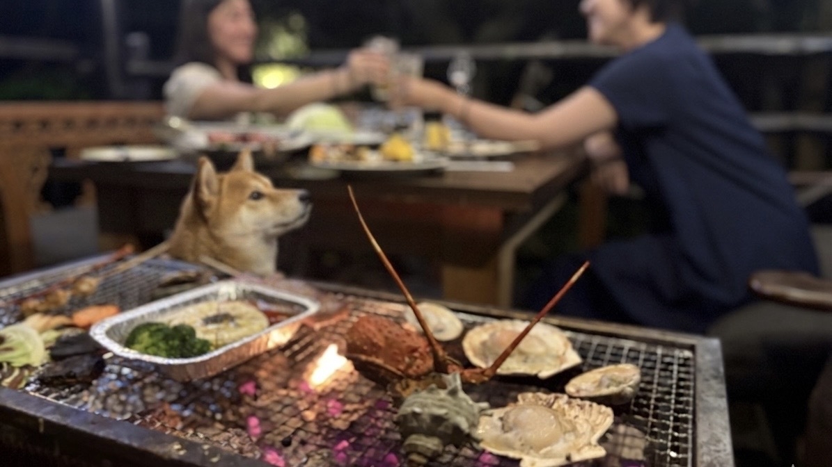 1泊2食【愛犬と楽しむプレミアムBBQ】伊勢海老・鮑・和牛ステーキを炭火で◆雨天OK！手ぶらでBBQ