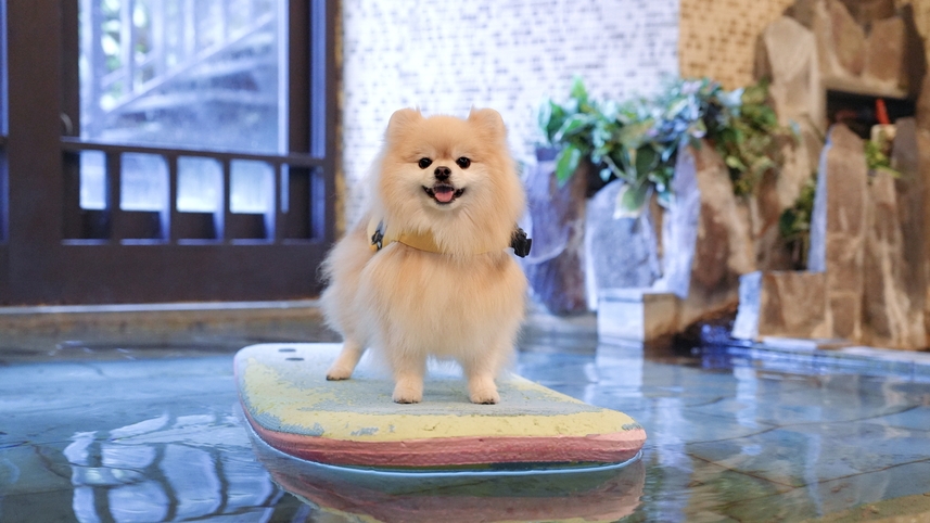 【スタンダード１泊２食】貸し切り温泉にペットスパ♪四季を感じる森のリゾートで愛犬と和食の会席を楽しむ