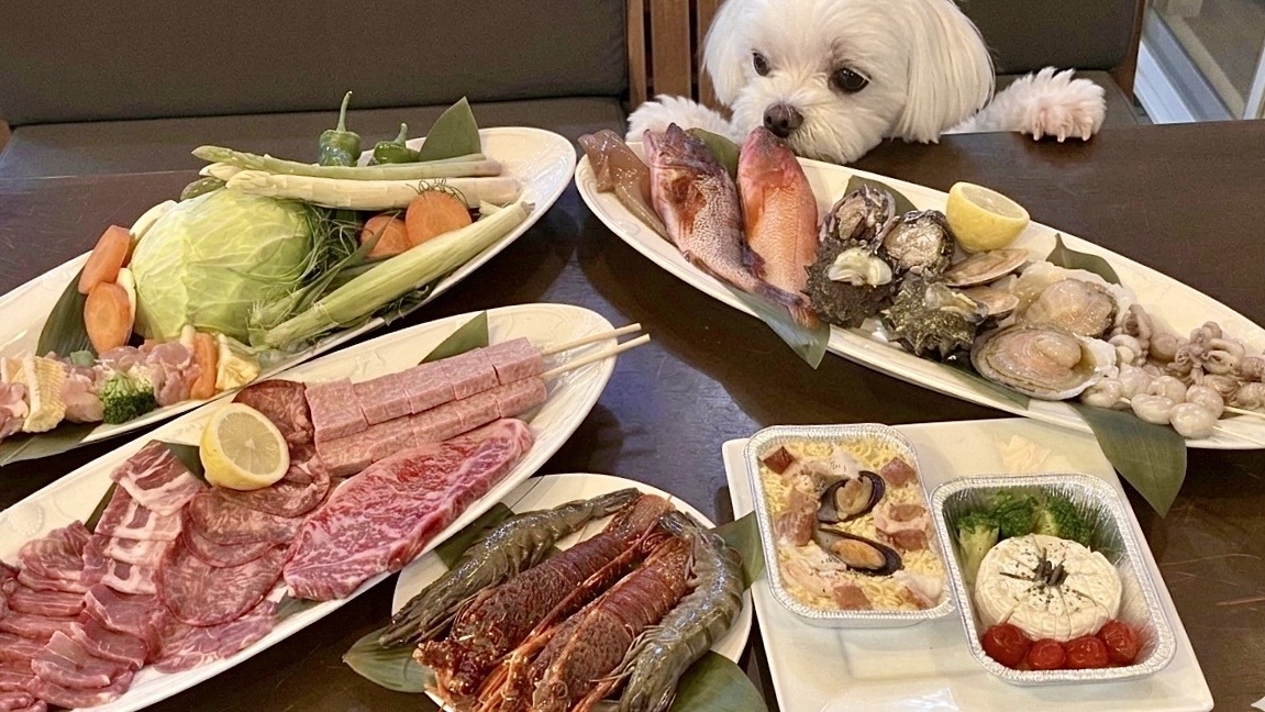 1泊2食【愛犬と楽しむプレミアムBBQ】伊勢海老・鮑・和牛ステーキを炭火で◆雨天OK！手ぶらでBBQ