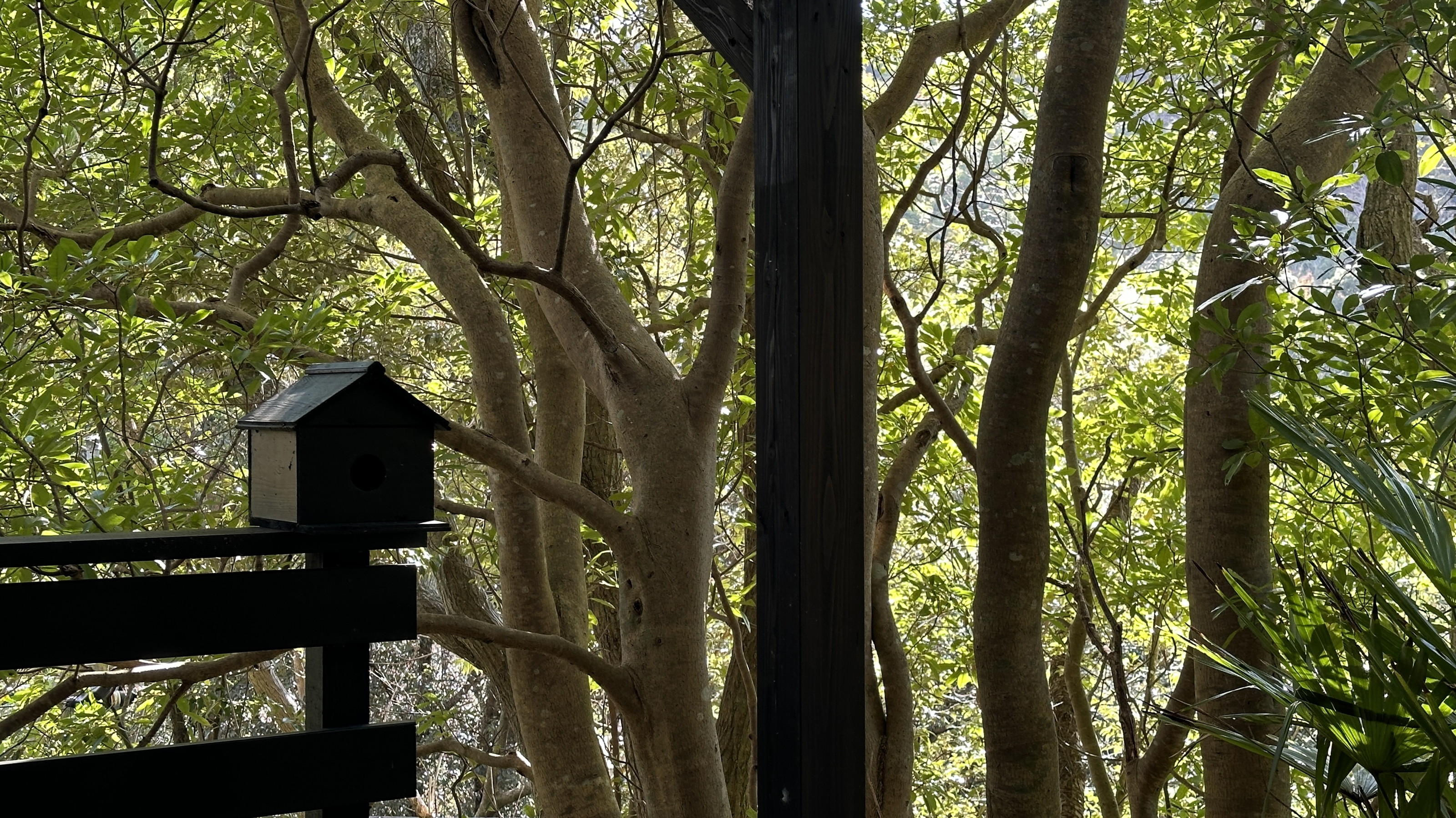 【離れ家リスの庭】一棟貸／56平米◆半露天風呂付の南国ヴィラ