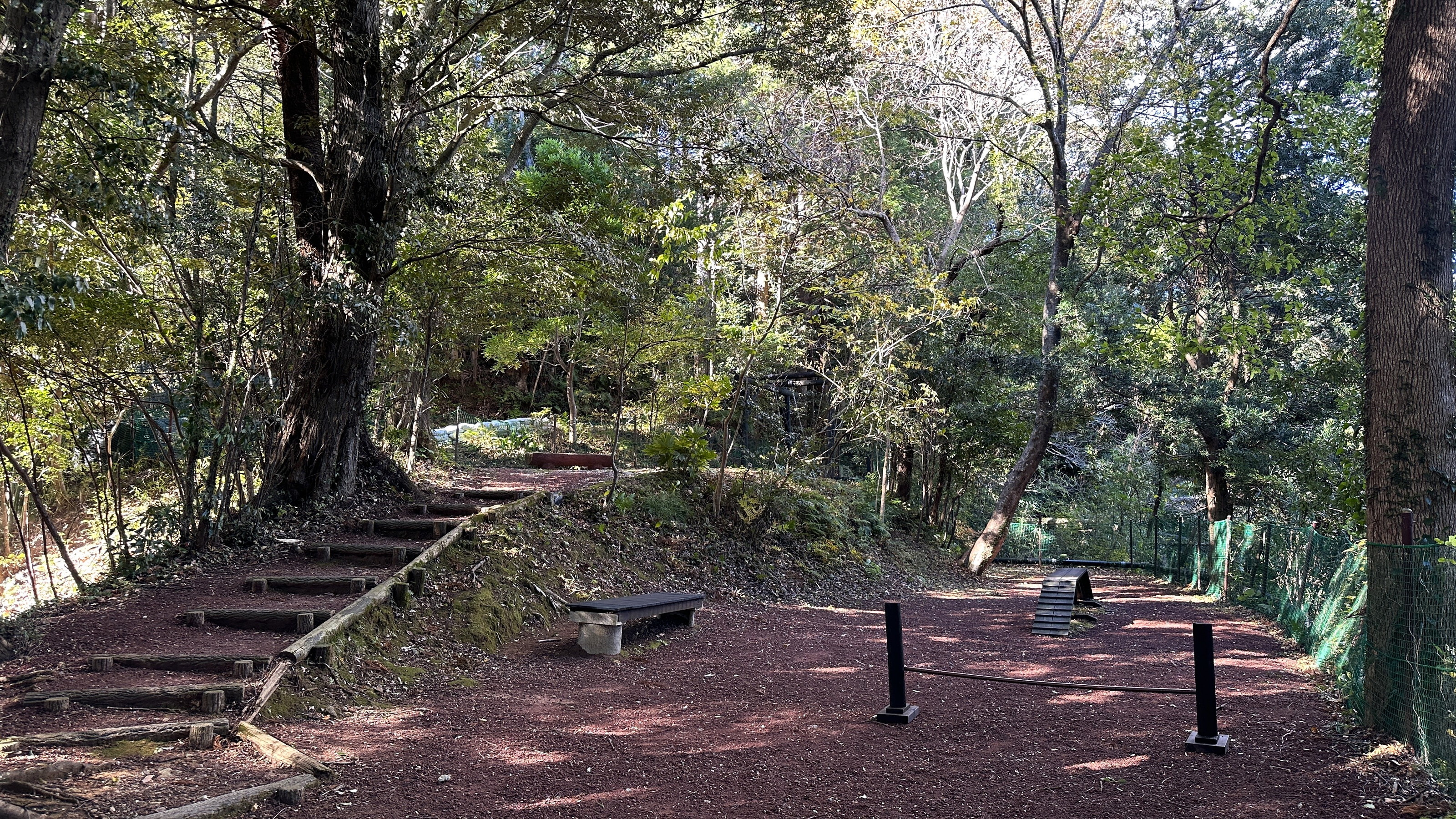 【森のドッグラン（本館施設）】