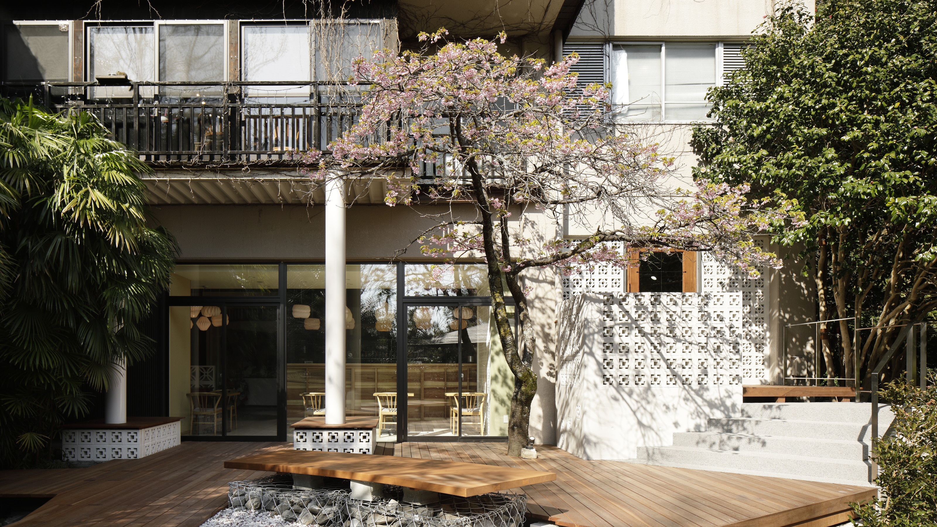 【中庭】2月には美しい河津桜が咲きます