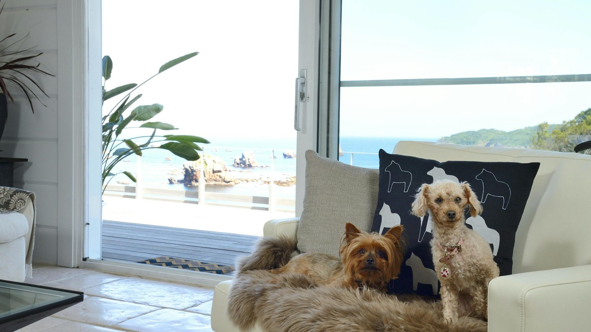 【カーサデラノンナ】わんちゃんと一緒