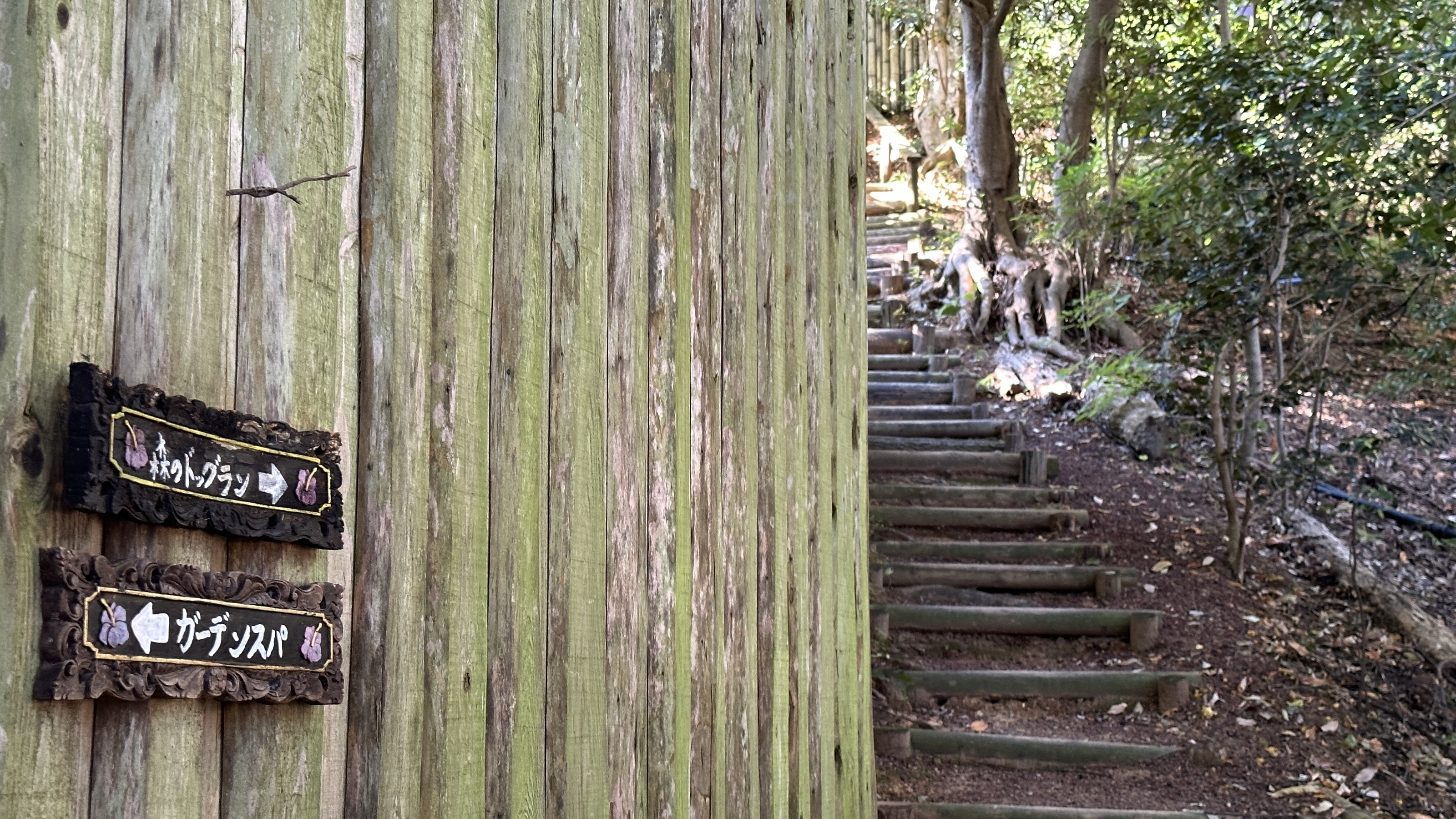【森のドッグラン（本館施設）】