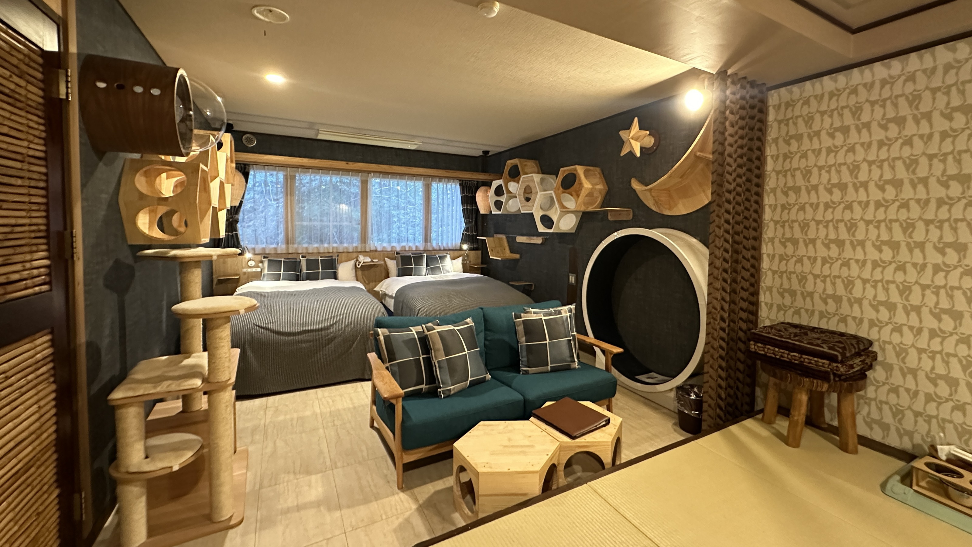 【キャットウォーク付わんにゃんルーム】本館洋室／40平米◆禁煙