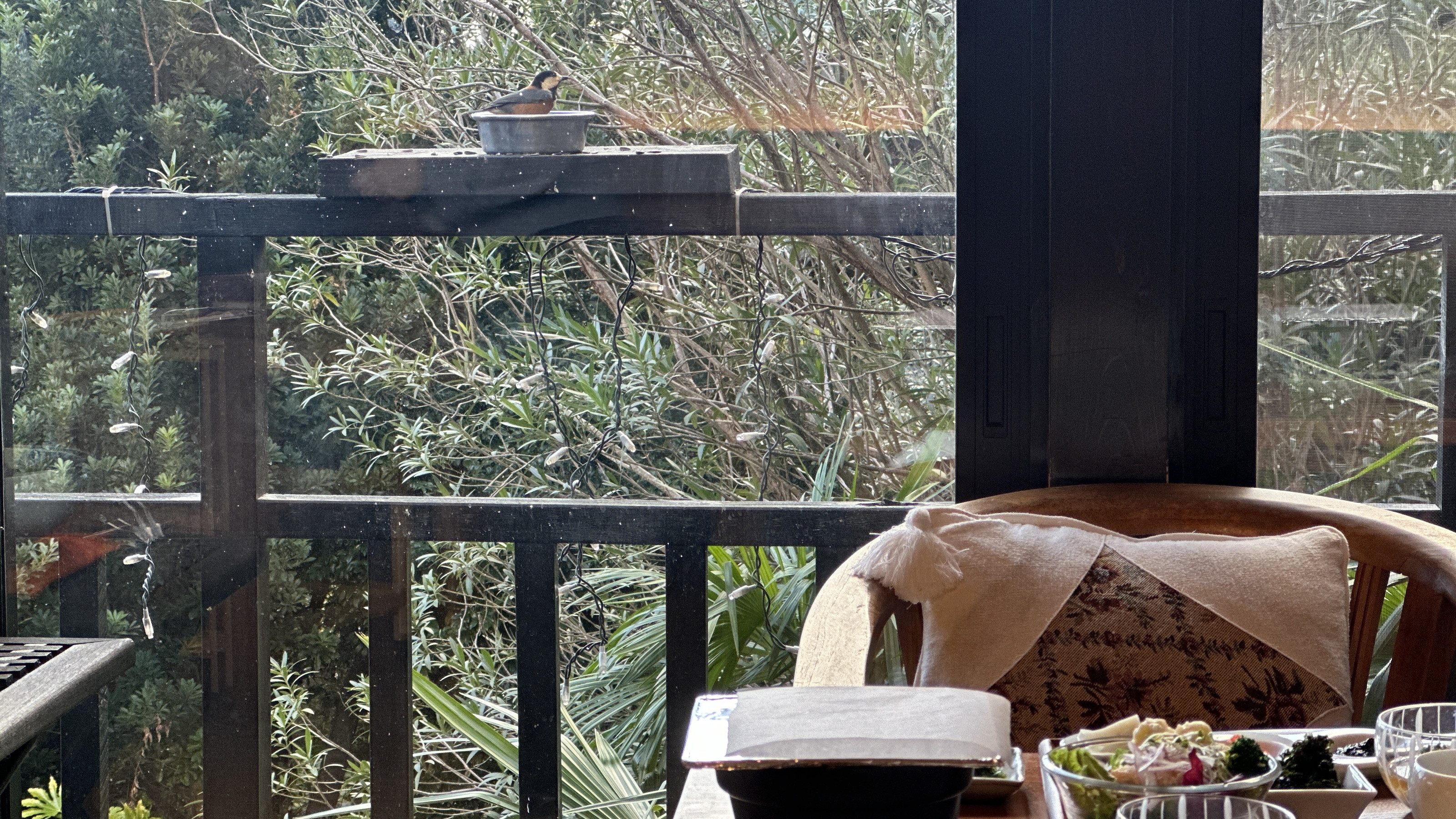 【朝食】時々小鳥もごはんを食べにやってきます