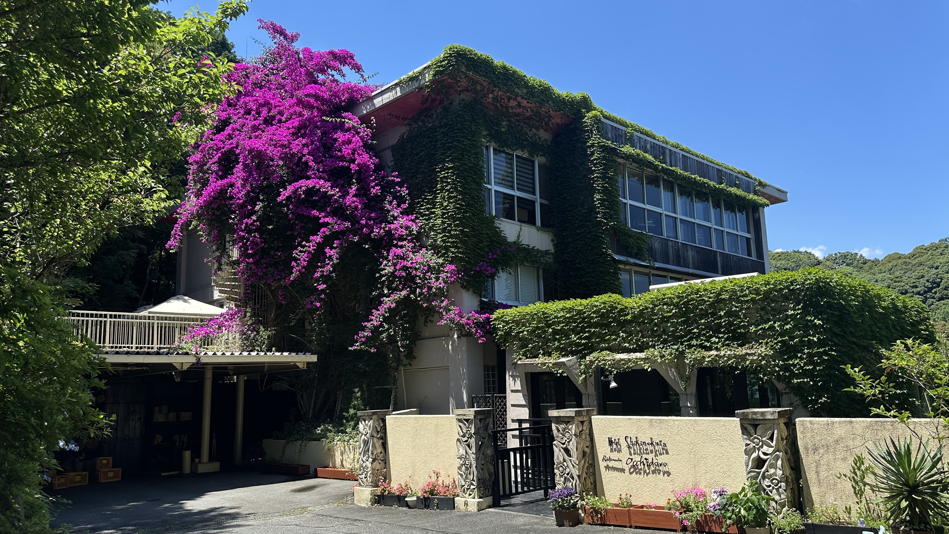 【本館外観】春以降はブーゲンビリアが咲き誇ります