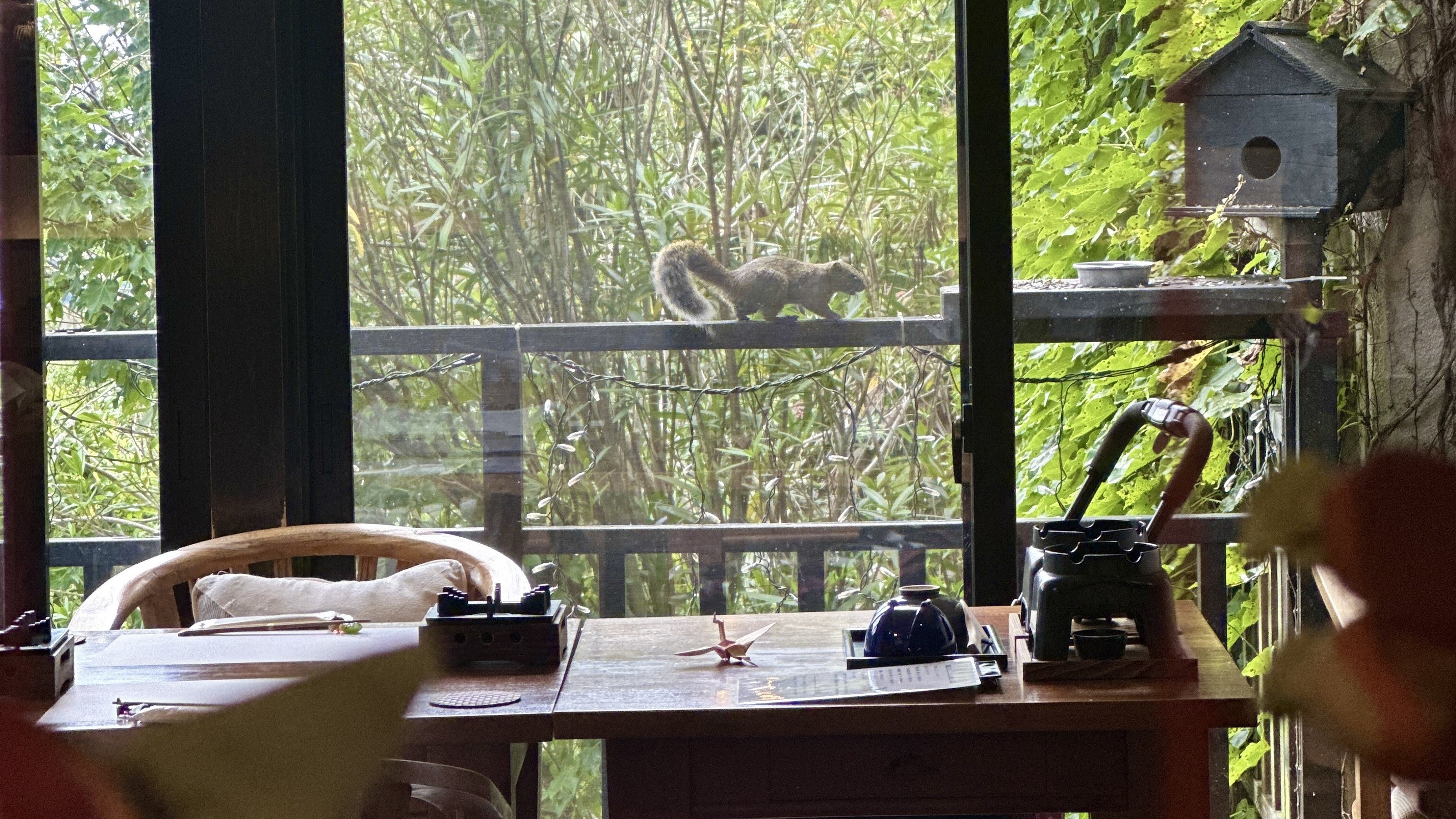 朝食時はお食事処にリスが遊びに来てくれることも